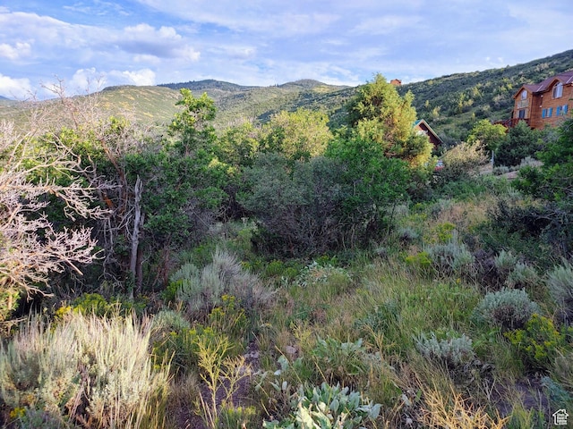 1652 S Ridgeline Dr Unit 1278, Heber City, UT 84032 - photo 6
