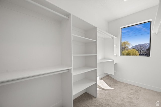 4372 S 900 E, Millcreek, UT 84124 - photo 66