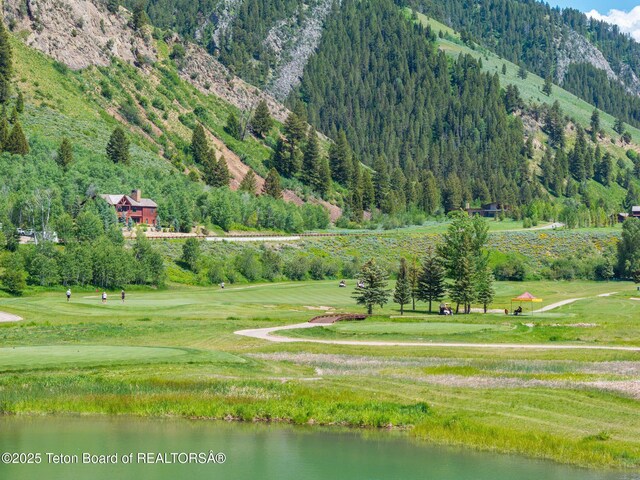 S River Bend Rd, Jackson, WY 83001 - photo 9