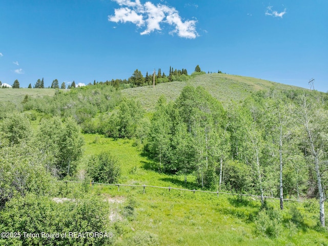 S River Bend Rd, Jackson, WY 83001 - photo 2
