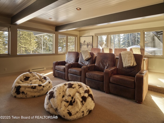 3745 W Curtis Dr, Teton Village, WY 83025 - photo 47