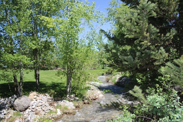 view of landscape