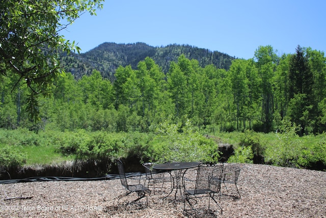 view of mountain feature