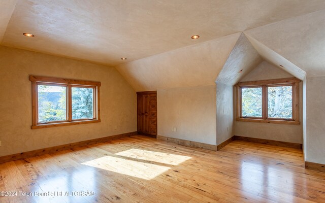 bonus room featuring plenty of natural light, vaulted ceiling, and light wood-type flooring