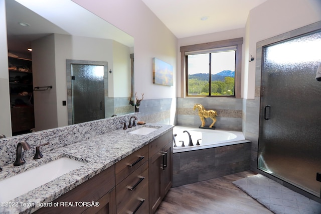 bathroom with a mountain view, separate shower and tub, hardwood / wood-style floors, and dual bowl vanity