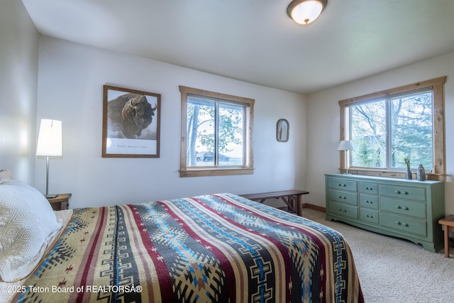 1515 Table Rock Dr, Driggs, ID 83422 - bedroom featuring light carpet