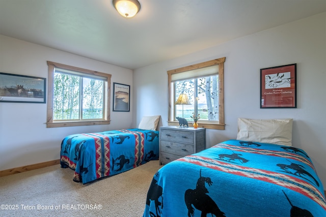 1515 Table Rock Dr, Driggs, ID 83422 - bedroom featuring multiple windows, carpet, and baseboards