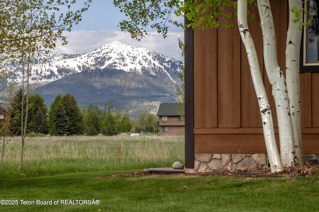 1515 Table Rock Dr, Driggs, ID 83422 - view of mountain background