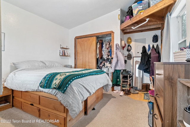 bedroom featuring a closet and vaulted ceiling