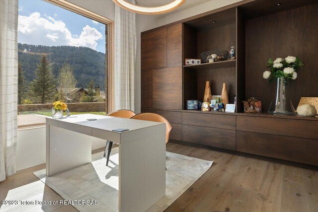 interior space featuring a mountain view and light hardwood / wood-style flooring