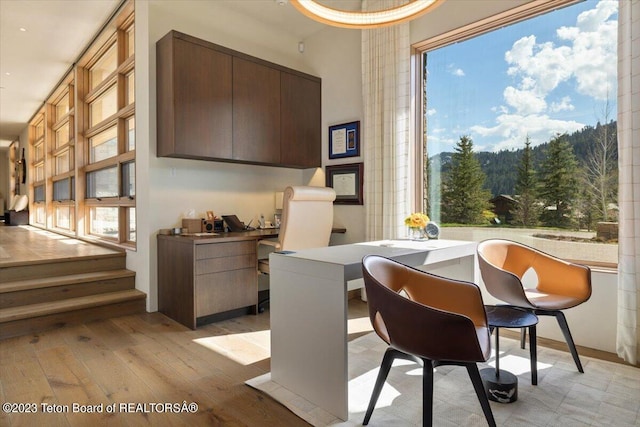 dining room featuring a wealth of natural light and light wood-type flooring