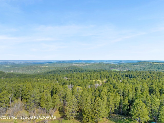 view of bird's eye view