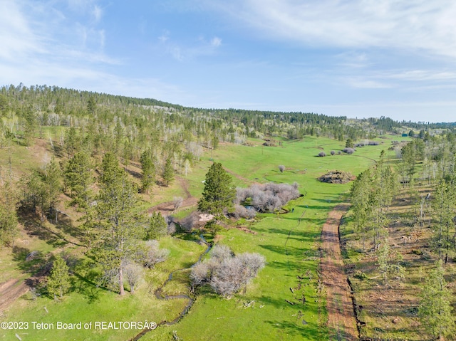 drone / aerial view with a rural view