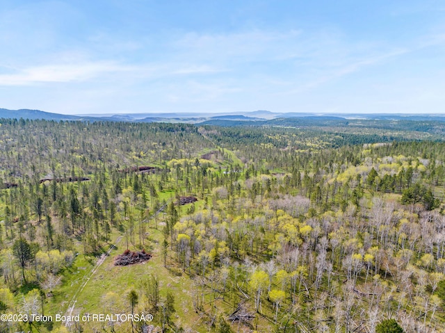 view of drone / aerial view