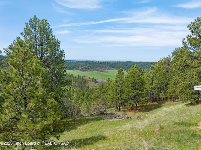 view of nature featuring a rural view