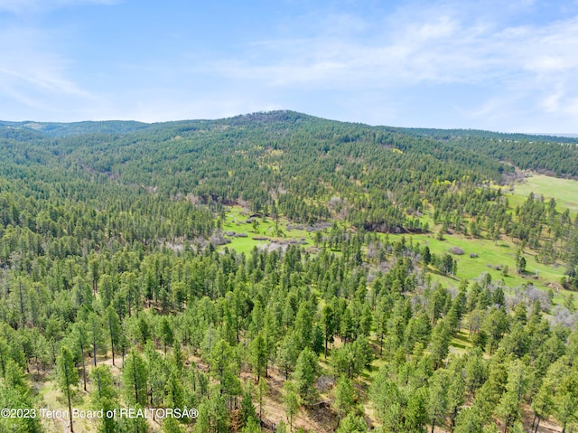 view of mountain feature