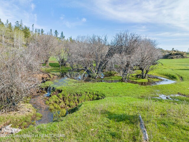 view of yard featuring a water view