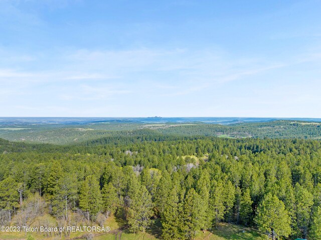 view of drone / aerial view