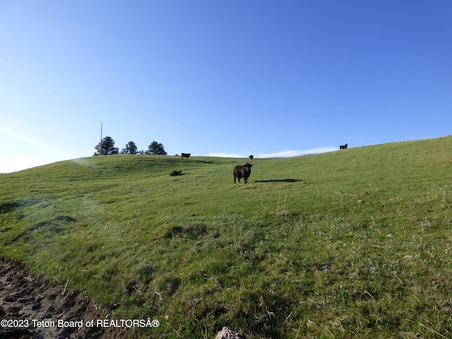 view of nature with a rural view