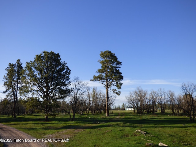 view of home's community with a lawn