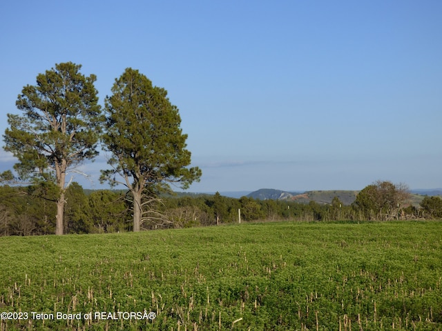 view of nature