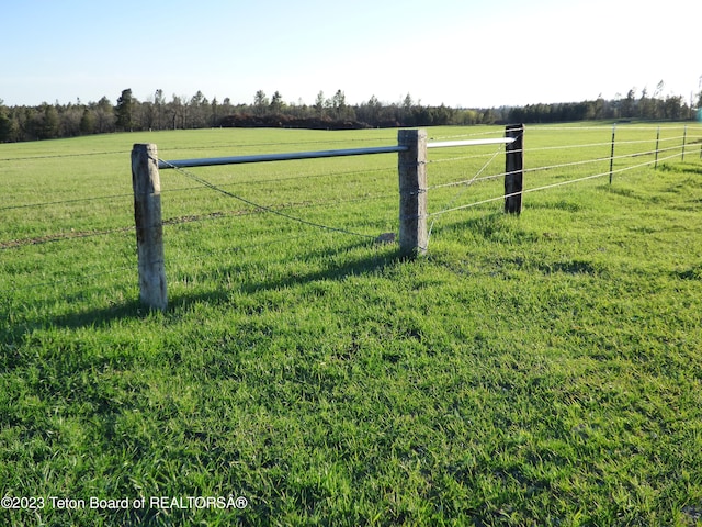 view of yard with a rural view