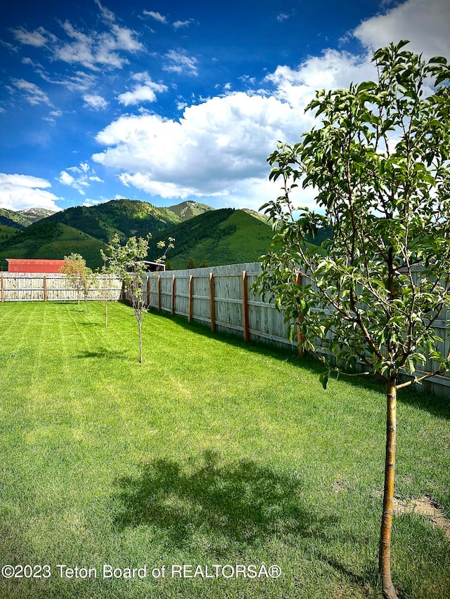 view of yard with a mountain view