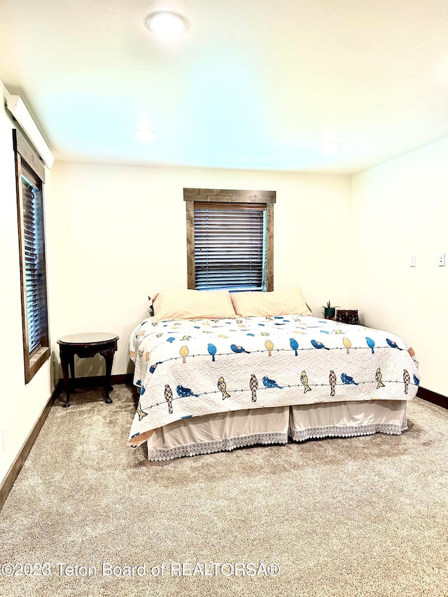 bedroom featuring carpet floors