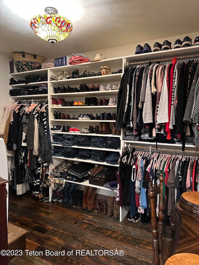 spacious closet featuring dark wood-type flooring