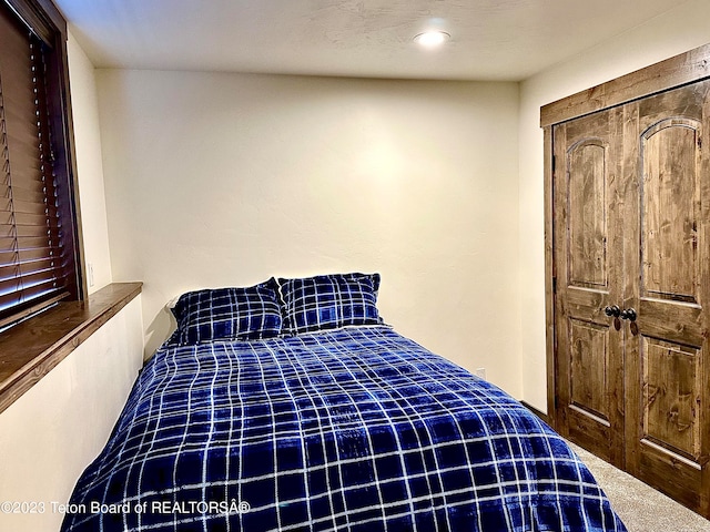 carpeted bedroom featuring a closet