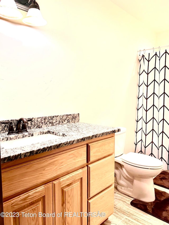 bathroom with toilet and vanity