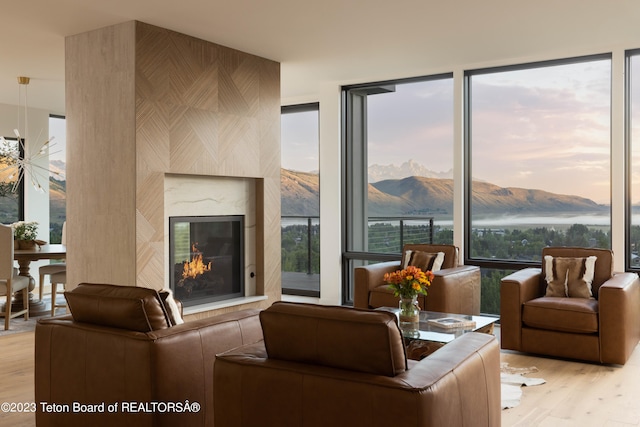 living room with a healthy amount of sunlight, a mountain view, a fireplace, and light hardwood / wood-style floors