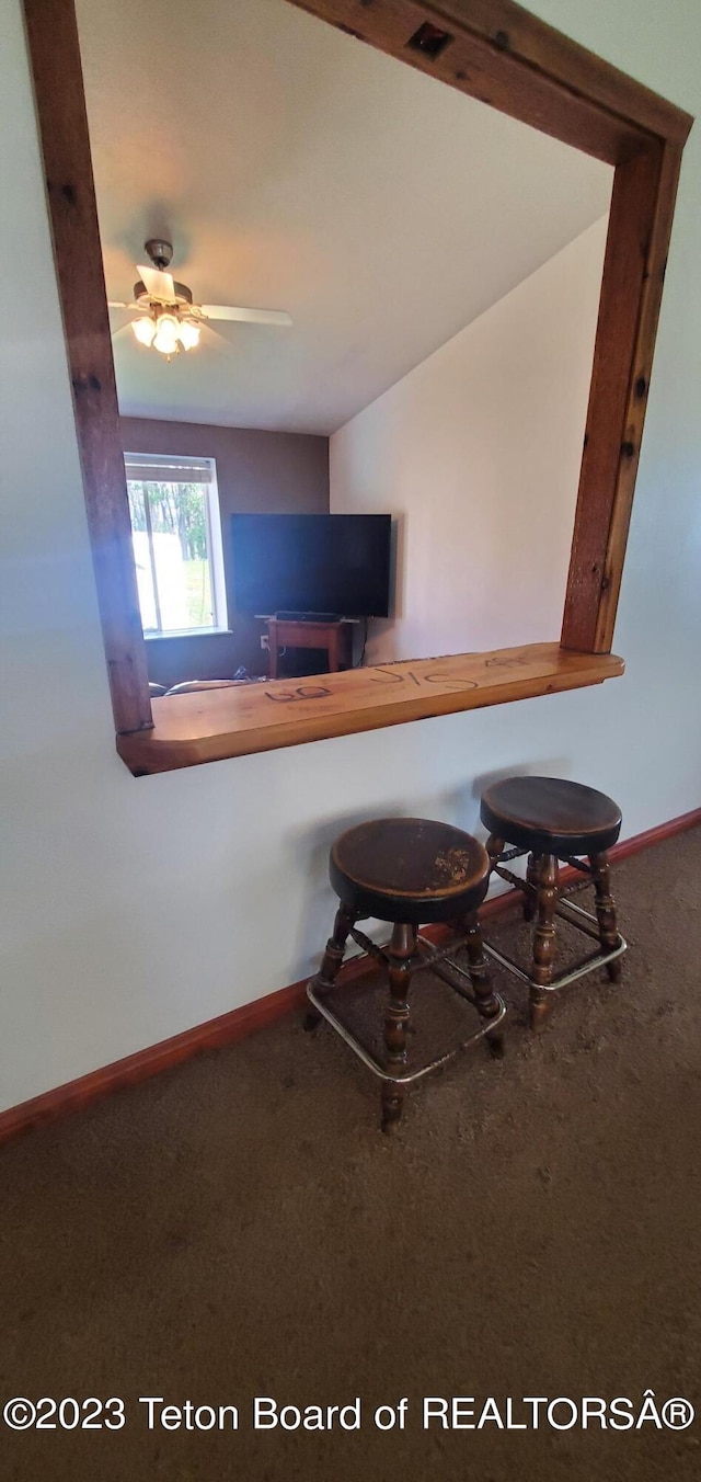 interior space featuring carpet and ceiling fan