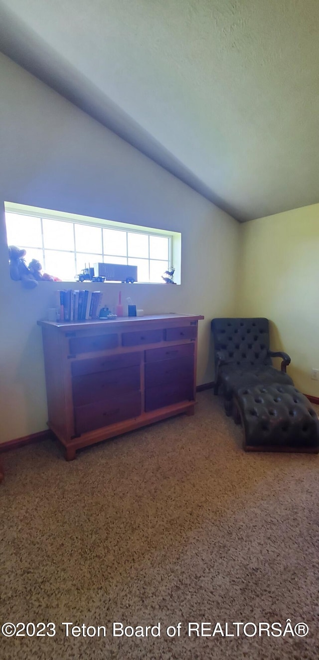 unfurnished bedroom featuring lofted ceiling