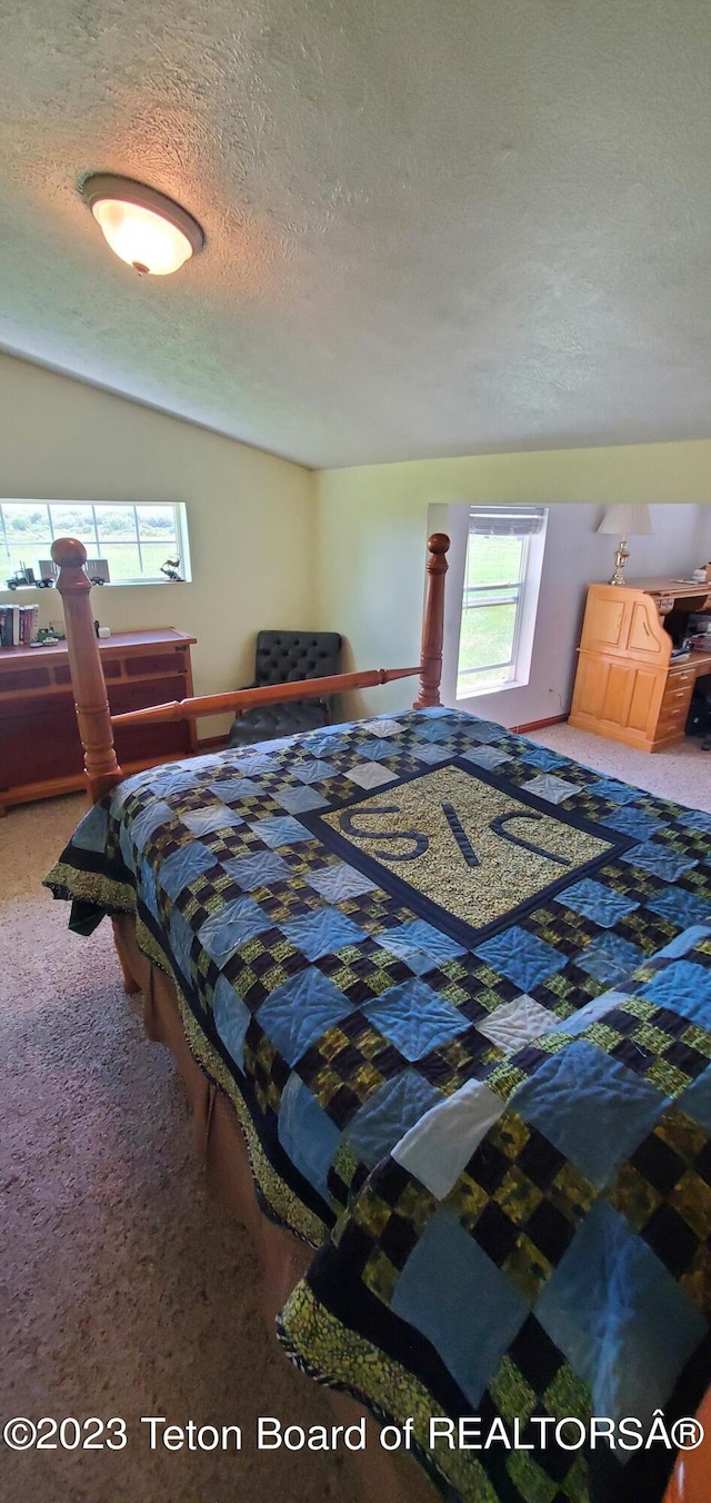 bedroom featuring carpet flooring and a textured ceiling