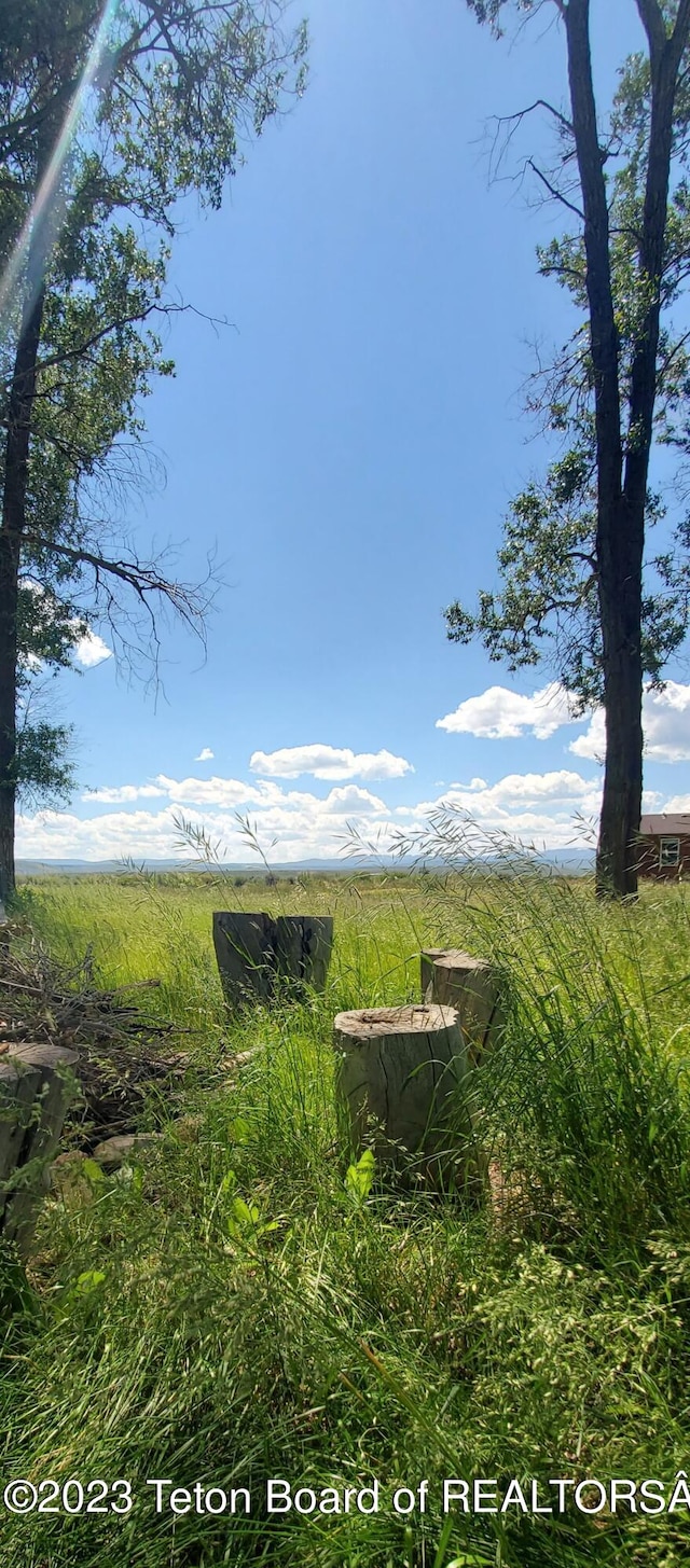 view of nature featuring a rural view