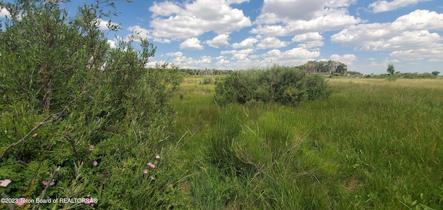 view of local wilderness featuring a rural view