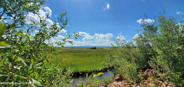 view of local wilderness with a rural view