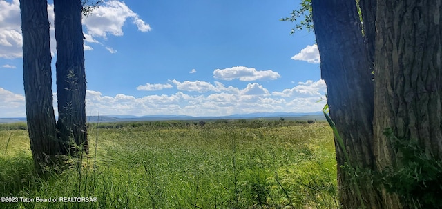 view of local wilderness featuring a rural view