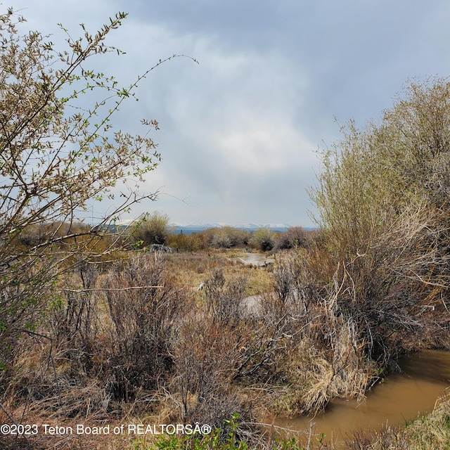 view of local wilderness featuring a water view