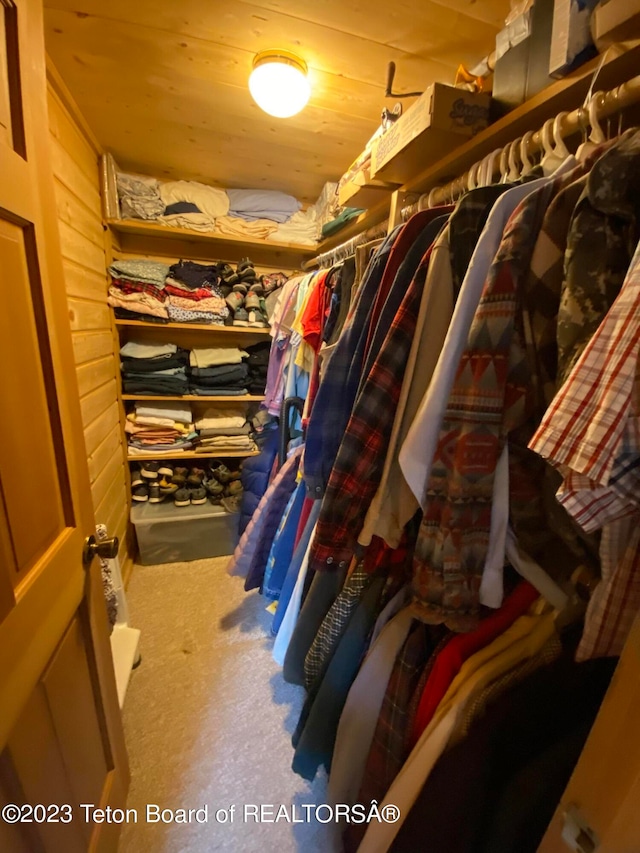 view of walk in closet