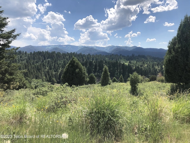 L63B4 Cutthroat Run, Irwin ID, 83428 land for sale