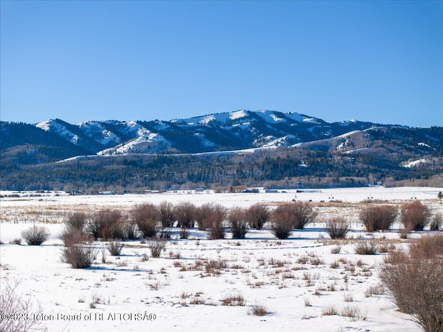TBD W 6000 S, Victor, ID 83455 - photo 17