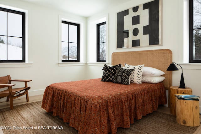 bedroom featuring hardwood / wood-style floors