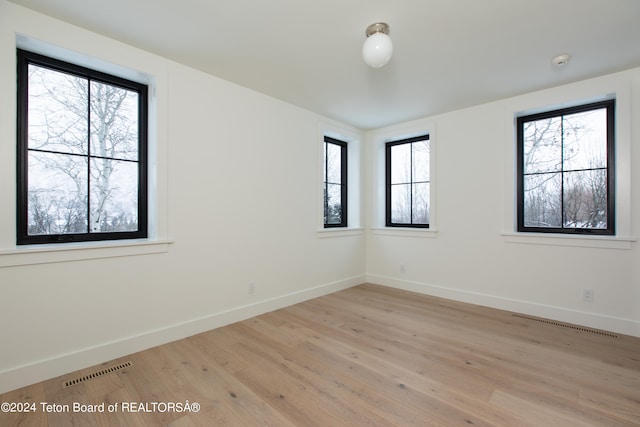 unfurnished room featuring plenty of natural light and light hardwood / wood-style floors