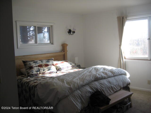 carpeted bedroom featuring multiple windows