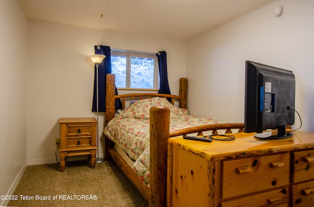 bedroom with carpet floors