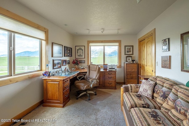87 Rayco Dr, Thayne, WY 83127 - photo 24