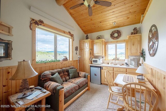 87 Rayco Dr, Thayne, WY 83127 - photo 40