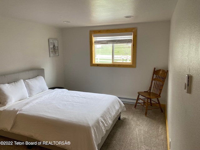 bedroom with dark colored carpet